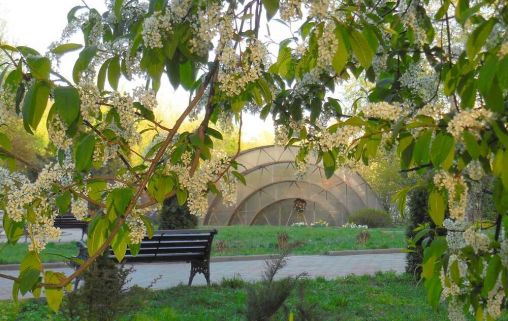 для ветеранов труда №1