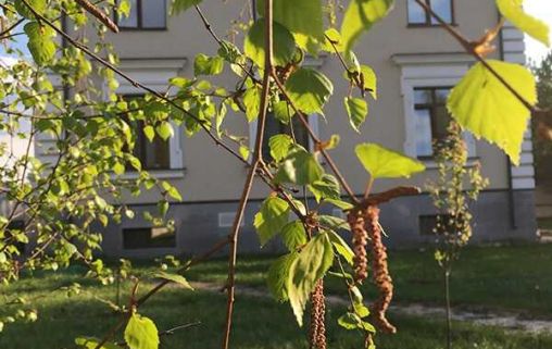 Дом Доброты