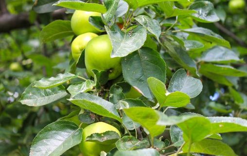 «Беседы» в Химках