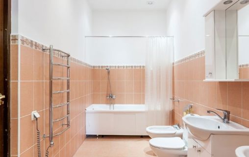 Изумрудный век в Сходне