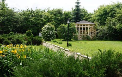 Шишкин лес сети Забота