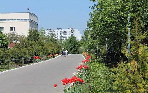 для ветеранов войны Коньково